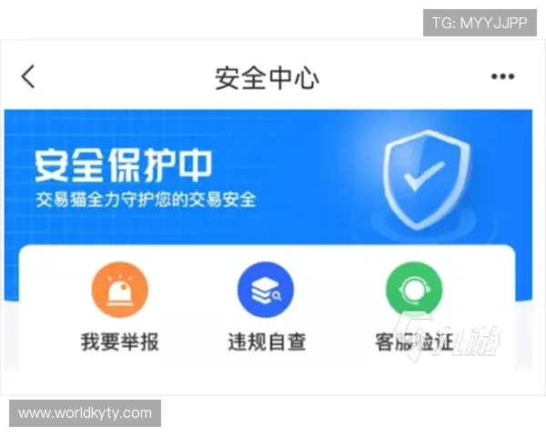 揭秘开云官网平台的安全保障措施，保护每一位用户的购物安全