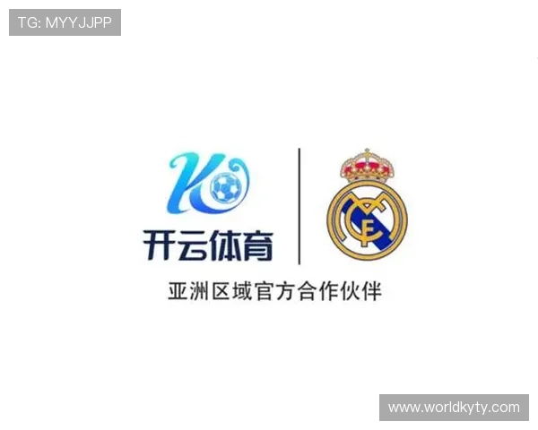 探讨开云体育官网登入口的技术背景及其安全性保障方案