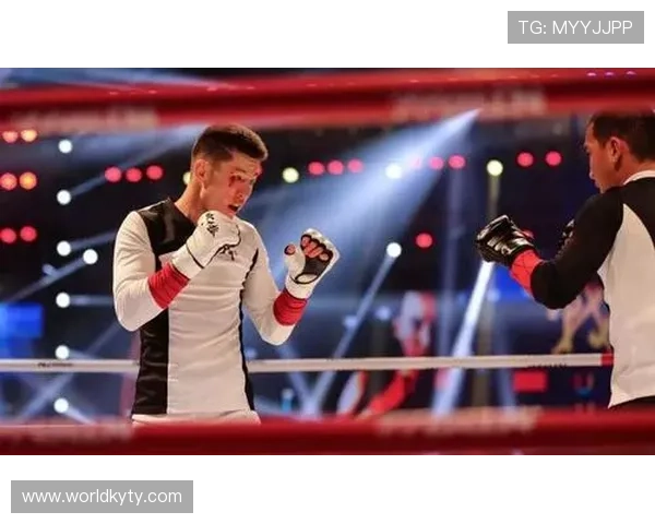 关于kaiyun体育app的全面介绍与使用指南帮助用户快速上手体验体育赛事直播与互动